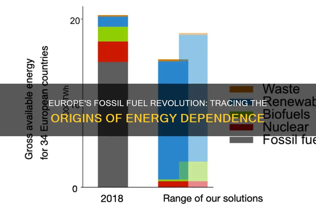 when did europe start using fossil fuels