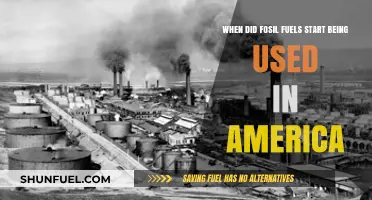 America's Fossil Fuel Beginnings: A Historical Journey into Energy Use