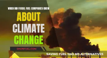 Fossil Fuel Companies: Early Climate Change Knowledge