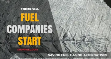 The Origins of Fossil Fuel Companies: A Historical Timeline