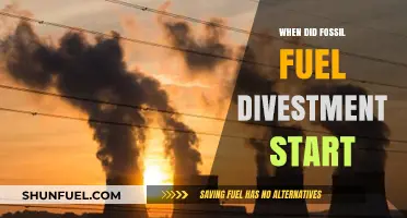 The Origins of Fossil Fuel Divestment: A Historical Overview