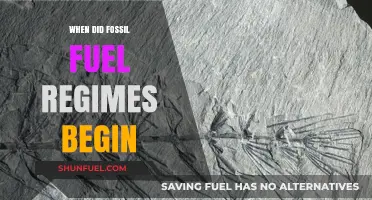 The Dawn of Fossil Fuel Dominance: Tracing Its Origins