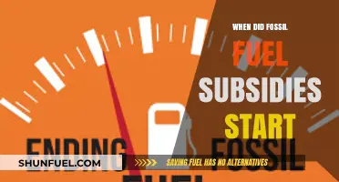 Tracing the Origins of Fossil Fuel Subsidies: A Historical Overview