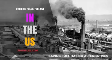Tracing the Rise of Fossil Fuel Use in the United States