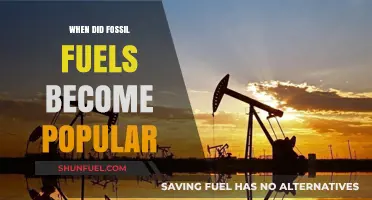The Rise of Fossil Fuels: A Historical Shift in Energy Dominance