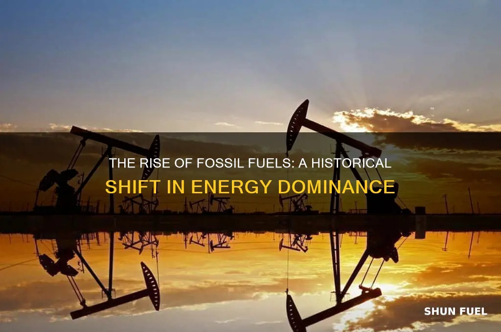 when did fossil fuels become popular