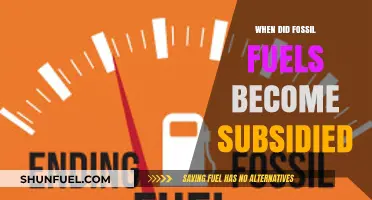 Tracing the Origins of Fossil Fuel Subsidies: A Historical Overview