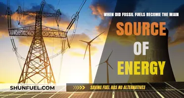 The Rise of Fossil Fuels: When They Dominated Global Energy