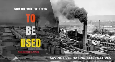 The Dawn of Fossil Fuels: Tracing Their Historical Use and Impact
