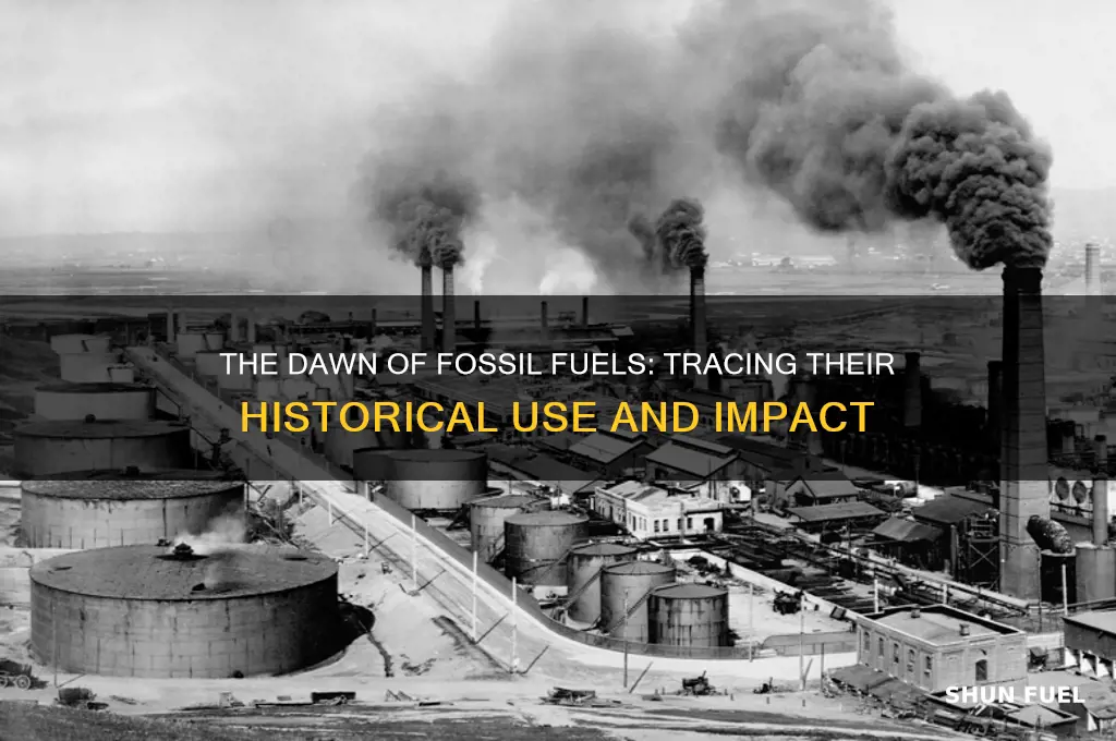 when did fossil fuels begin to be used
