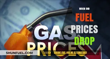 Exploring the Recent Plummet in Fuel Costs: A Comprehensive Analysis