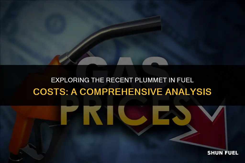 when did fuel prices drop