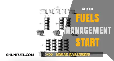 Exploring the Origins: A Historical Journey into Fuels Management