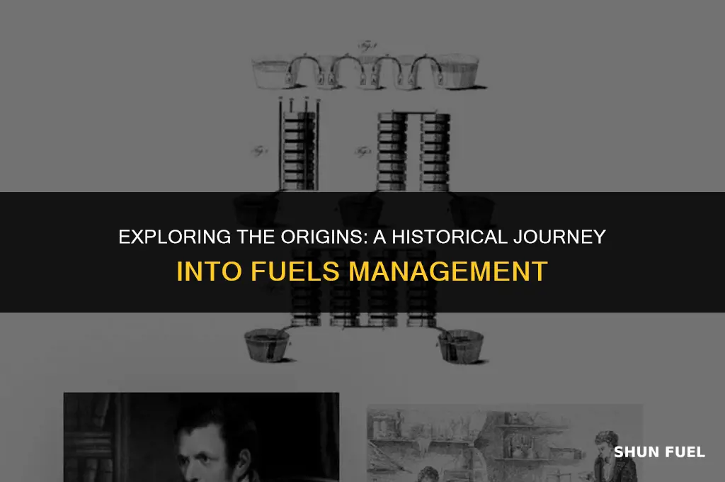 when did fuels management start