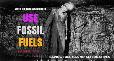 The Dawn of Fossil Fuel Use: A Historical Overview
