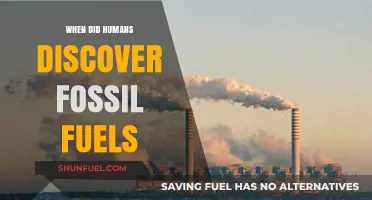 Unearthing History: When Humans First Discovered Fossil Fuels