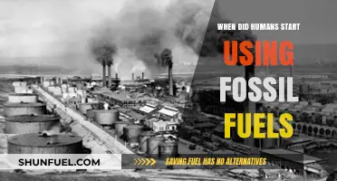 The Dawn of Fossil Fuels: Humanity's Energy Revolution Timeline