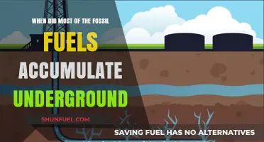 The Ancient Origins of Fossil Fuels: A Geological Journey