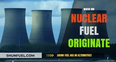 Unveiling the Dawn of Nuclear Fuel: A Historical Perspective