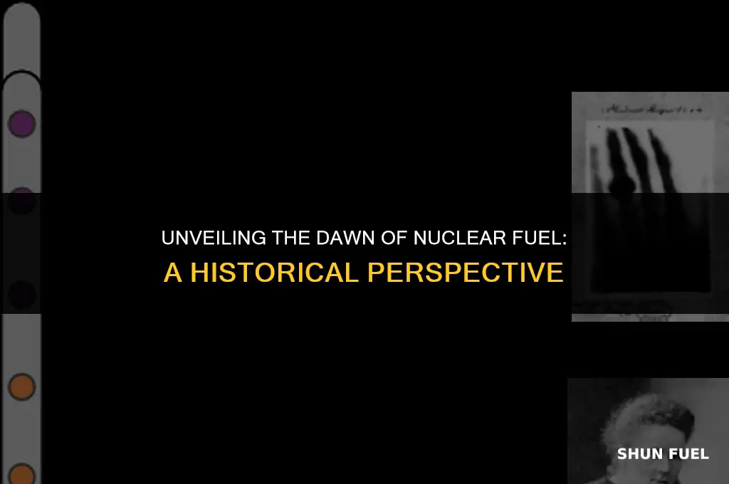 when did nuclear fuel originate