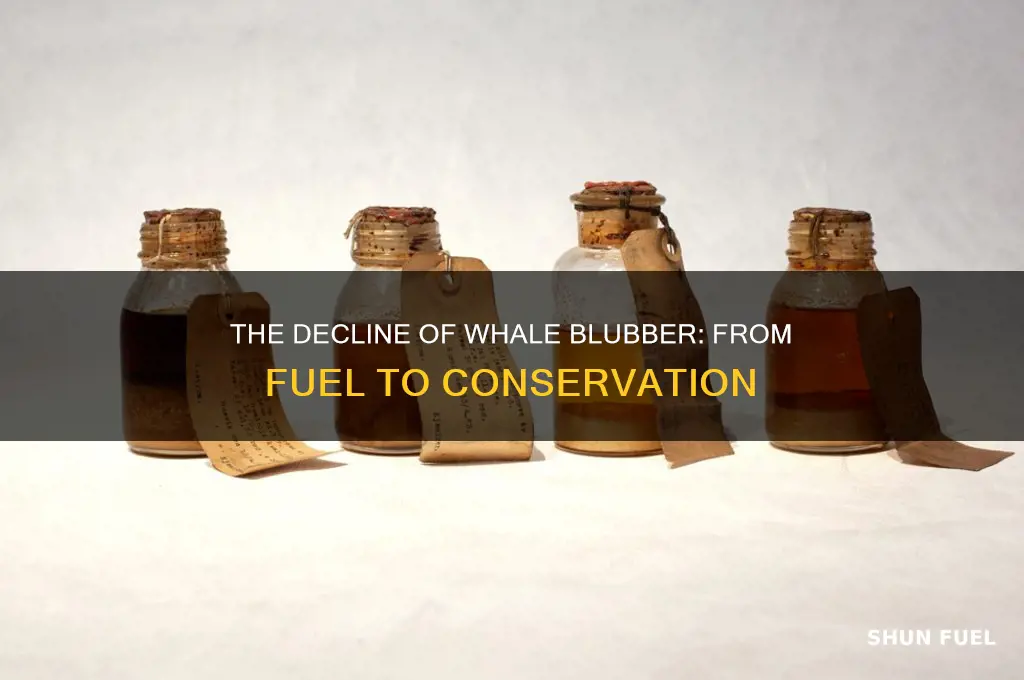 when did people stop using whale blubber for fuel