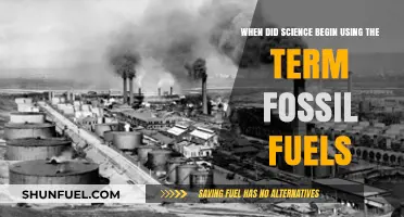 Tracing the Origins: When Science Adopted the Term Fossil Fuels