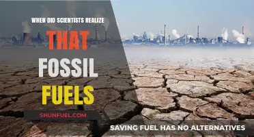 The Moment Scientists Uncovered Fossil Fuels' True Environmental Impact