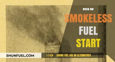 The Evolution of Smokeless Fuels: A Historical Timeline