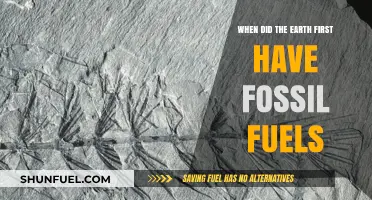 The Origins of Fossil Fuels: Earth's Ancient Energy Legacy