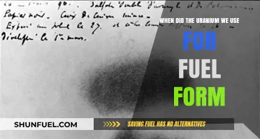 The Ancient Origins of Uranium Fuel: A Billion-Year Journey