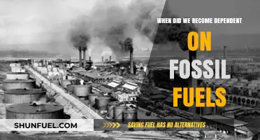 The Shift to Fossil Fuels: Tracing Our Energy Dependence