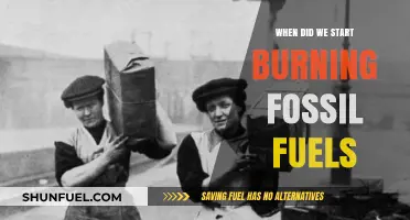 The Evolution of Fossil Fuel Usage