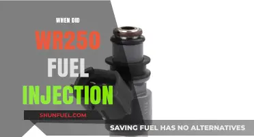 Revolutionizing Ride: The Evolution of WR250's Fuel Injection System