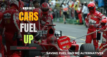 F1 Fuel Strategies: The Art of Timing Pit Stops