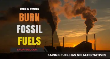 When Do Humans Burn Fossil Fuels: A Historical and Modern Overview