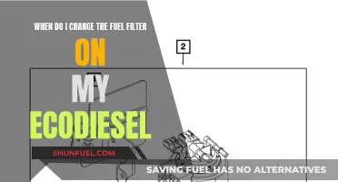 How Often Should I Change My EcoDiesel Fuel Filter?