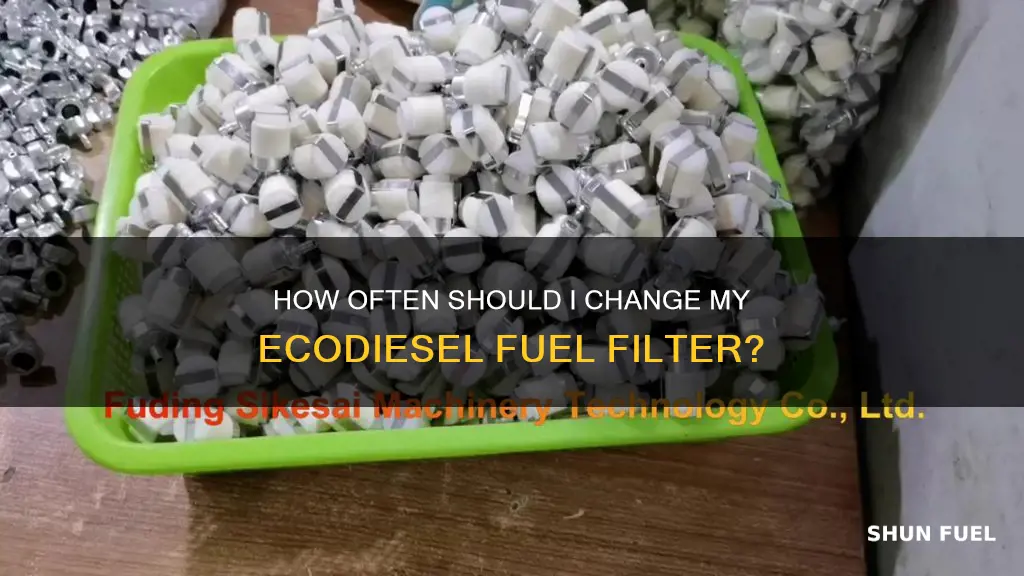 when do i change the fuel filter on my ecodiesel