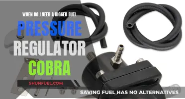 Fuel Pressure Regulator: Cobra Upgrade for Performance