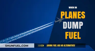 Fuel Dumping in Aviation: Timing and Environmental Impact