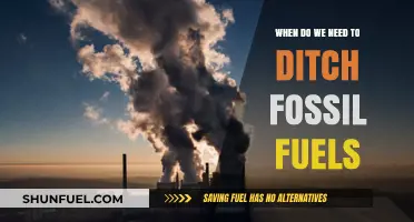Ditching Fossil Fuels: Urgent Timeline for a Sustainable Future