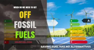 Urgent Transition: When Must We Abandon Fossil Fuels for a Sustainable Future?