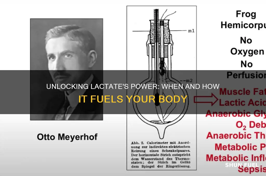 when do we use lactate as fuel