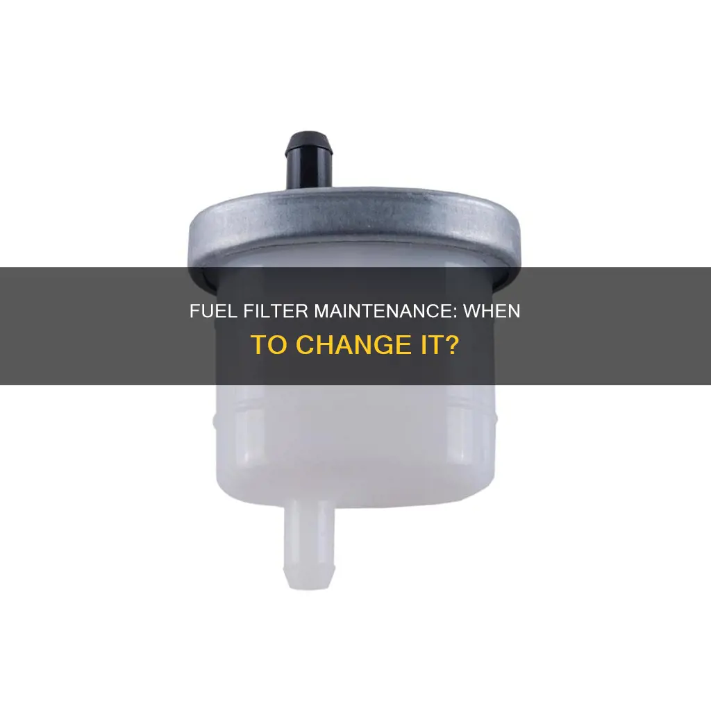 when do you chnage your fuel filter