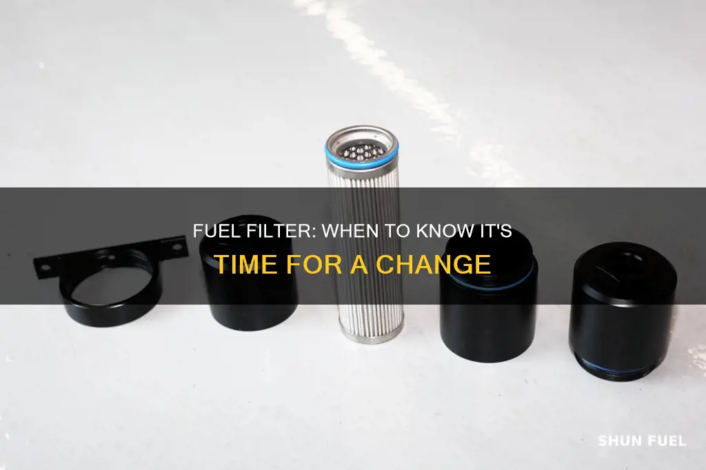 when do you know you need a fuel filter