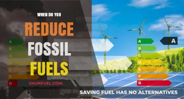 Reducing Fossil Fuels: A Timely Transition to Sustainable Energy Solutions
