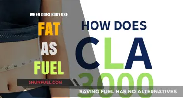 Unlocking Fat Burn: When Your Body Uses Fat as Fuel