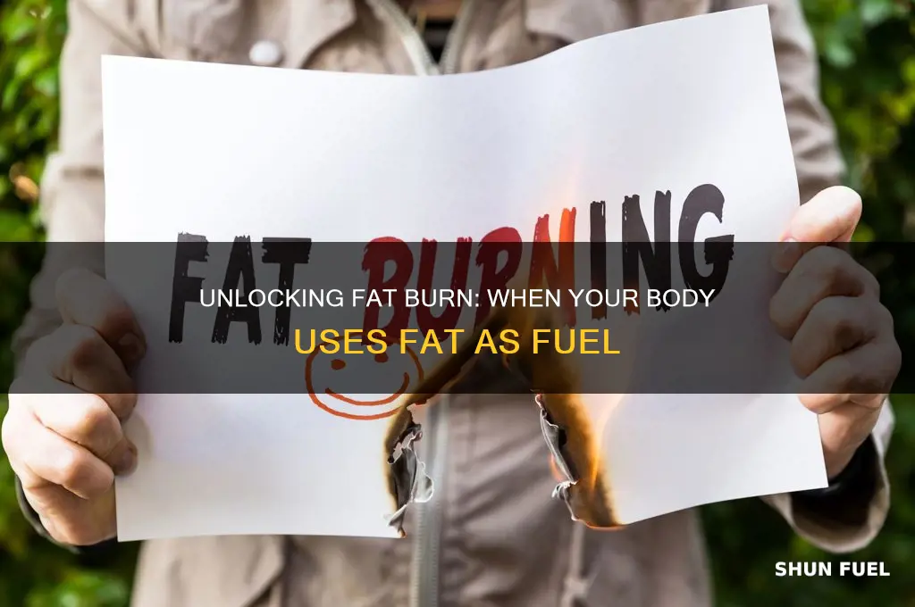 when does body use fat as fuel