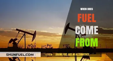 Exploring the Origins: Where Does Our Fuel Come From?