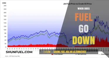 Exploring the Dynamics of Fuel Prices: A Comprehensive Guide