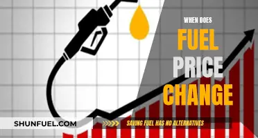 Fuel Price Fluctuations: Understanding the Timing of Changes